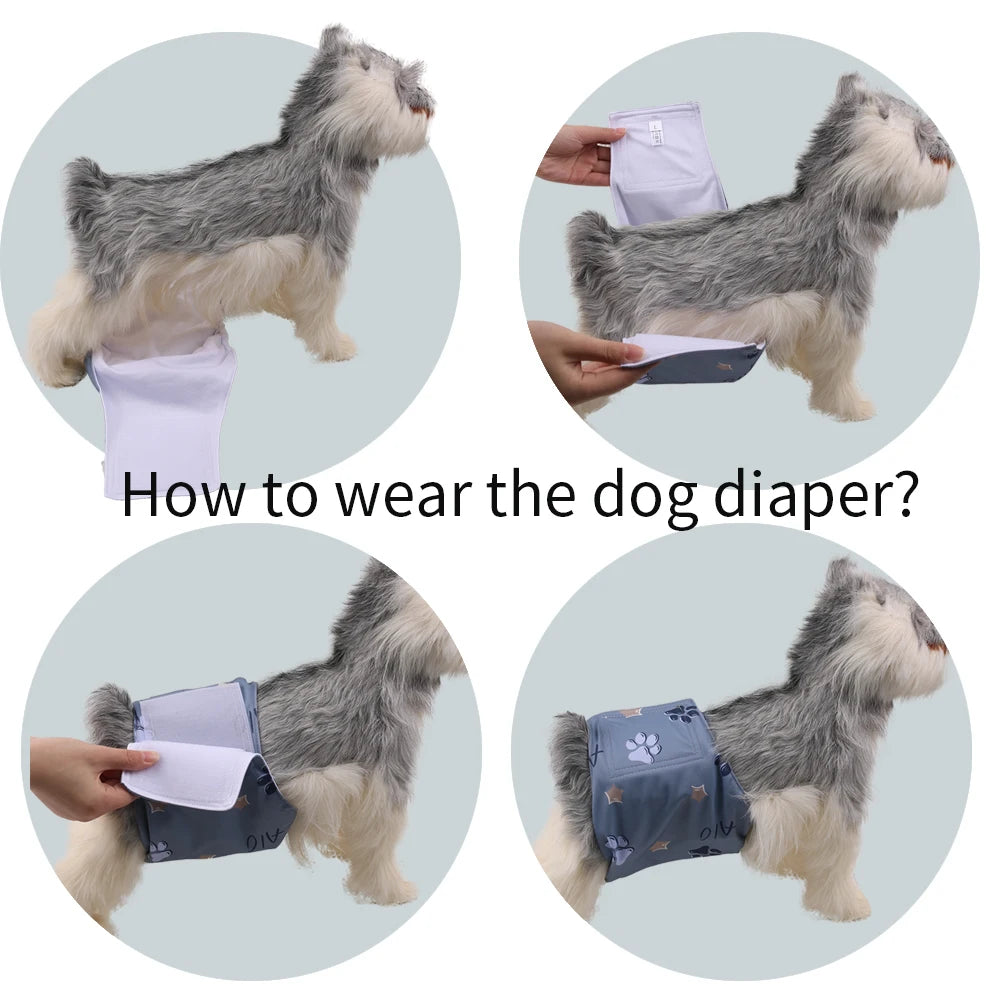 How to put on a belly band
