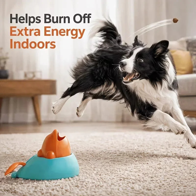 Dog chasing a launched treat indoors