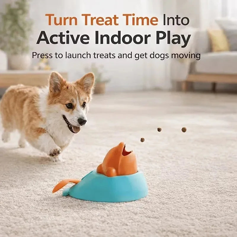 Treat launching from the dolphin toy during indoor play
