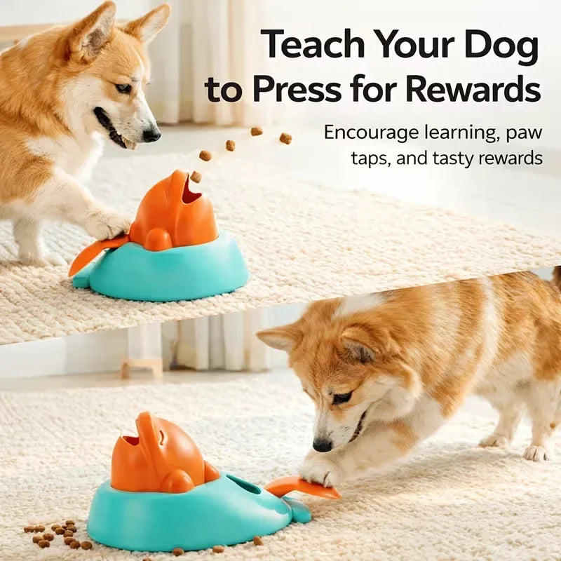 Dog pressing the dolphin treat launcher for a reward