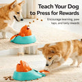 Dog pressing the dolphin treat launcher for a reward